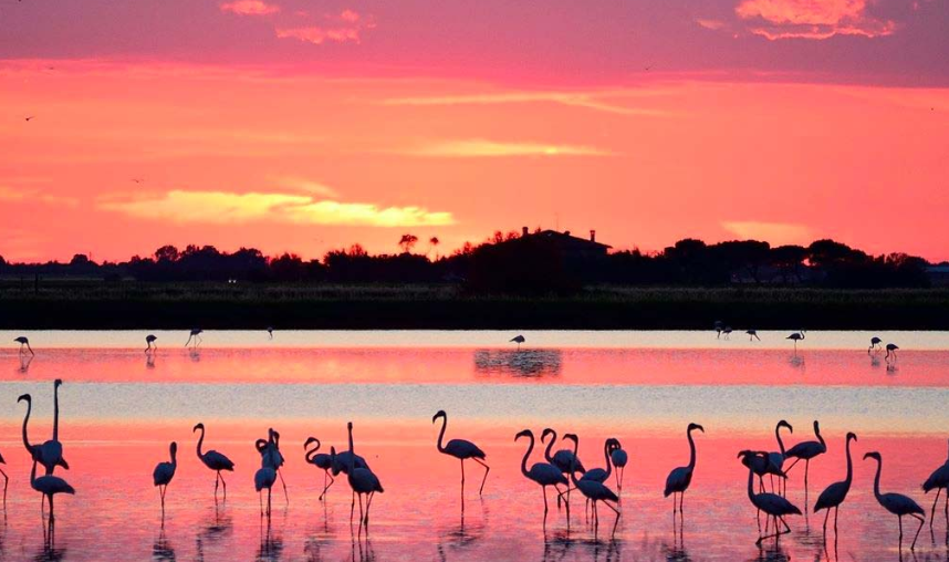 Salina di Cervia