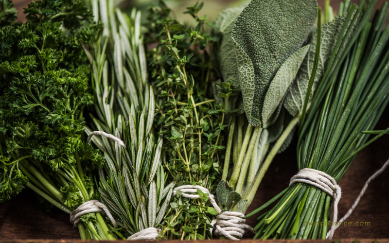 Erbe aromatiche, prezzemolo, basilico e origano